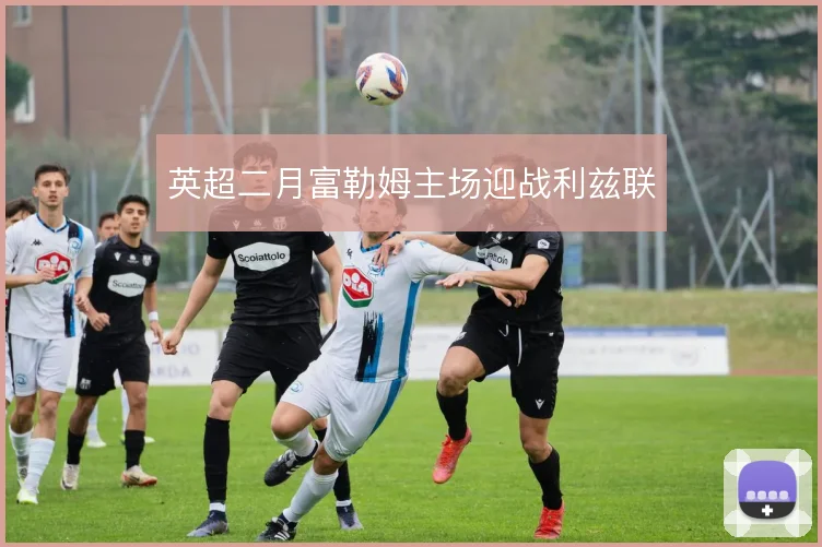 英超二月富勒姆主场迎战利兹联