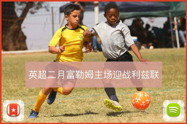 英超二月富勒姆主场迎战利兹联